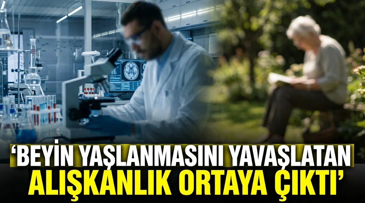 Beyin yaşlanmasını yavaşlatan alışkanlık ortaya çıktı