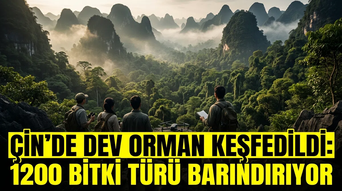 Çin'de dev orman keşfedildi: 1200 bitki türü barındırıyor