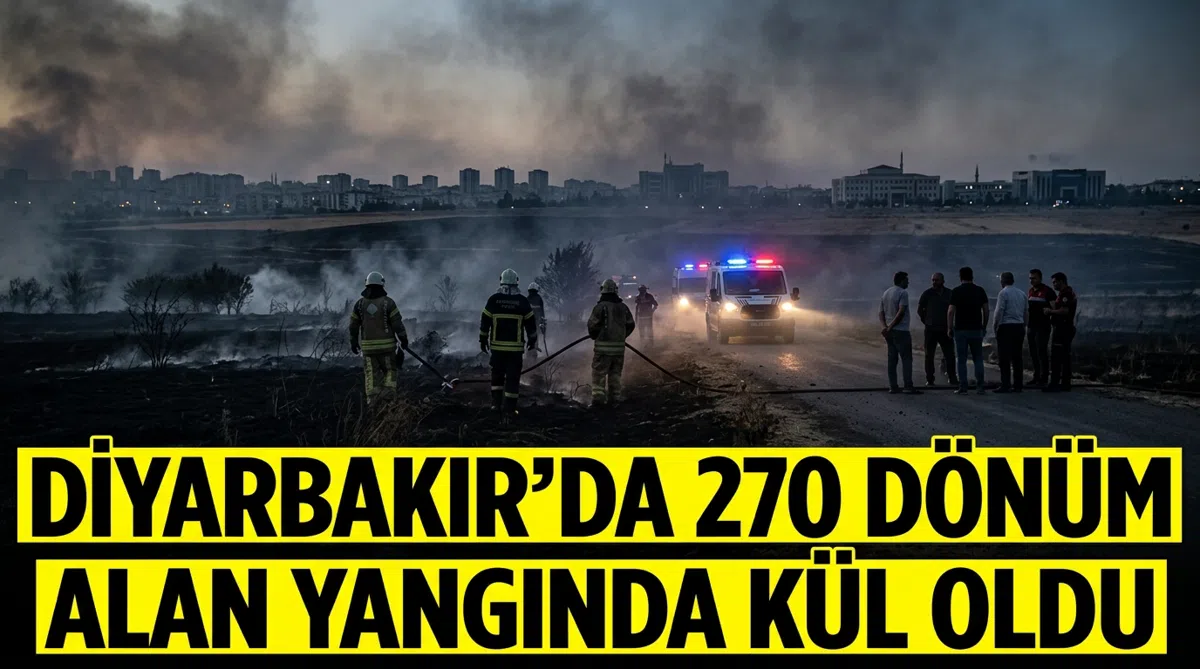 Diyarbakır'da 270 dönüm alan yangında kül oldu
