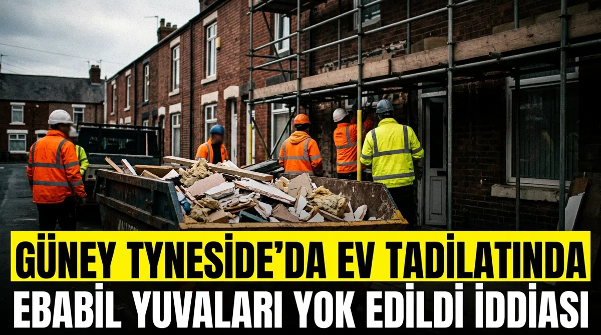 Güney Tyneside'da Ev Tadilatında Ebabil Yuvaları Yok Edildi İddiası
