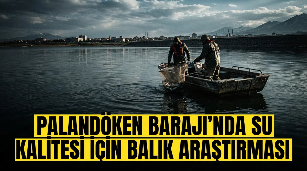 Palandöken Barajı'nda Su Kalitesi İçin Balık Araştırması