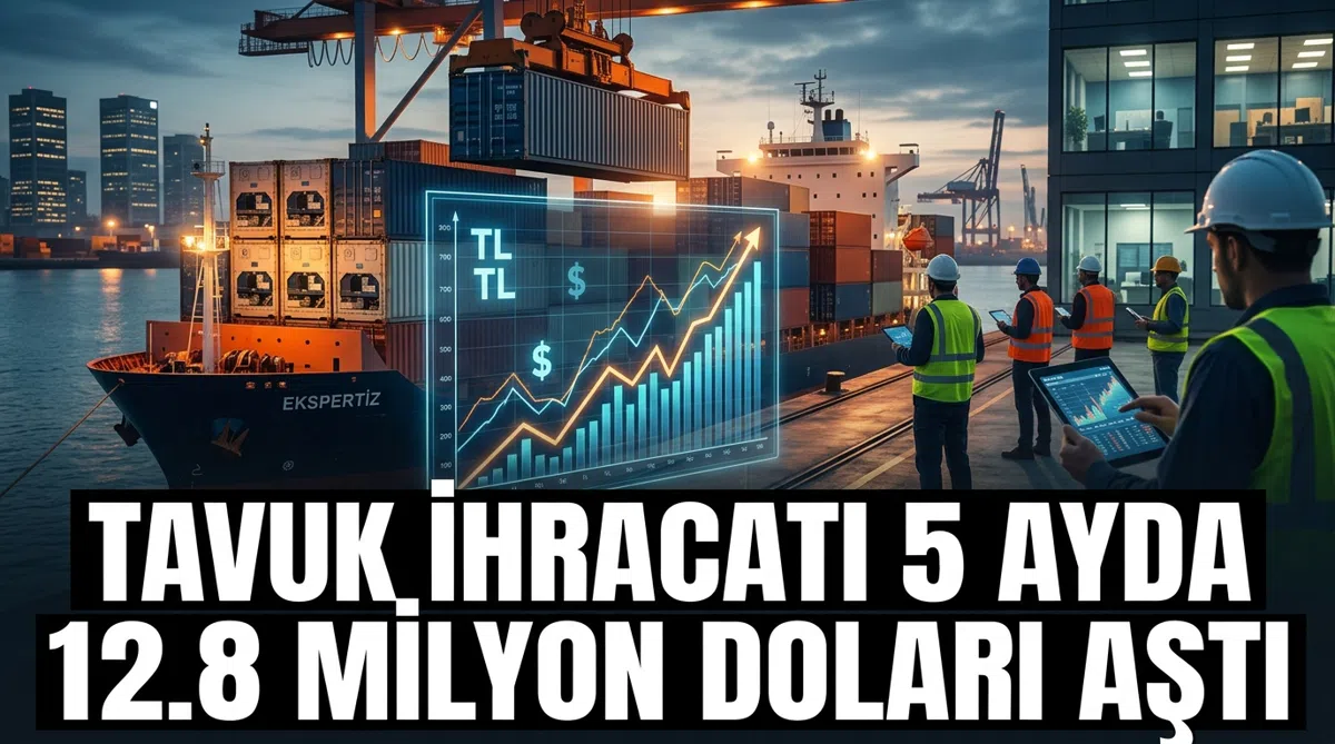 Tavuk ihracatı 5 ayda 12.8 milyon doları aştı
