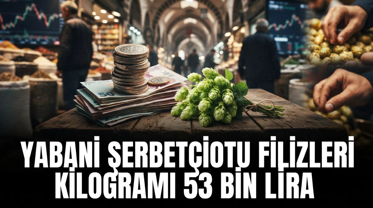 Yabani şerbetçiotu filizleri kilogramı 53 bin lira