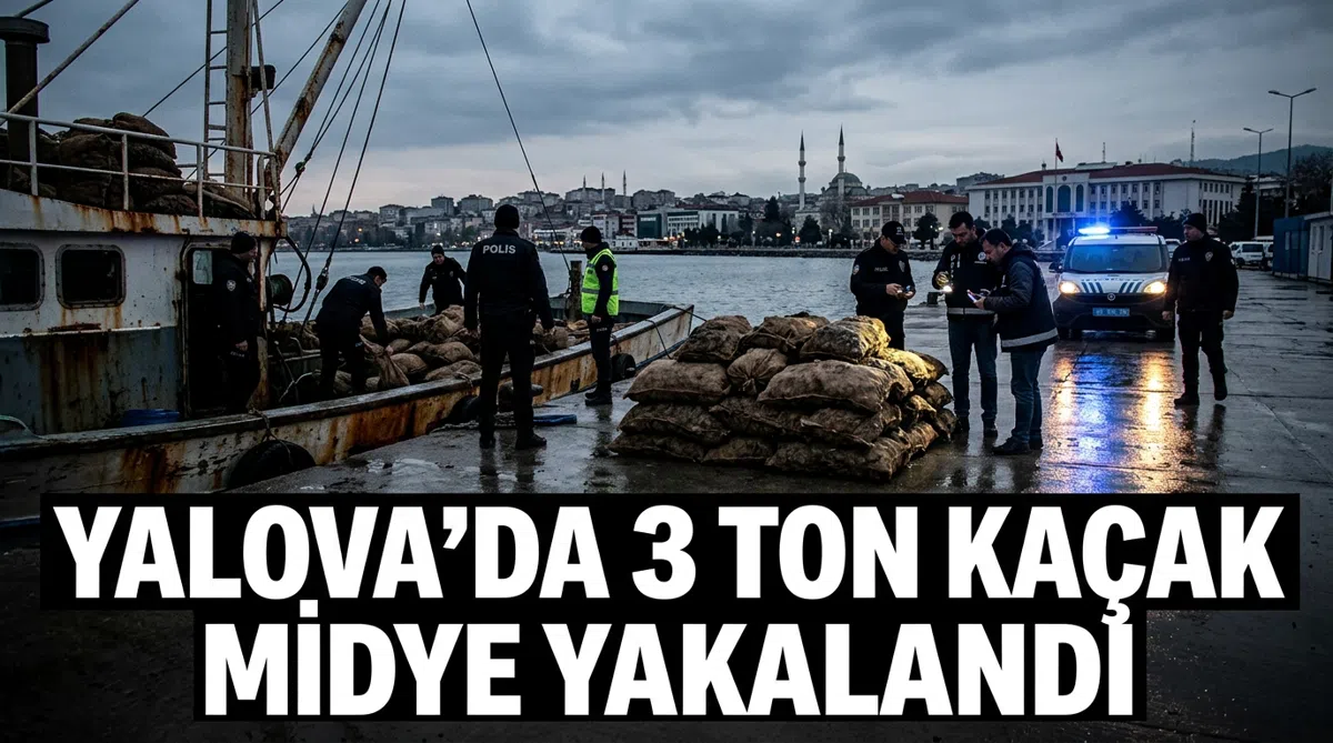 Yalova'da 3 ton kaçak midye yakalandı